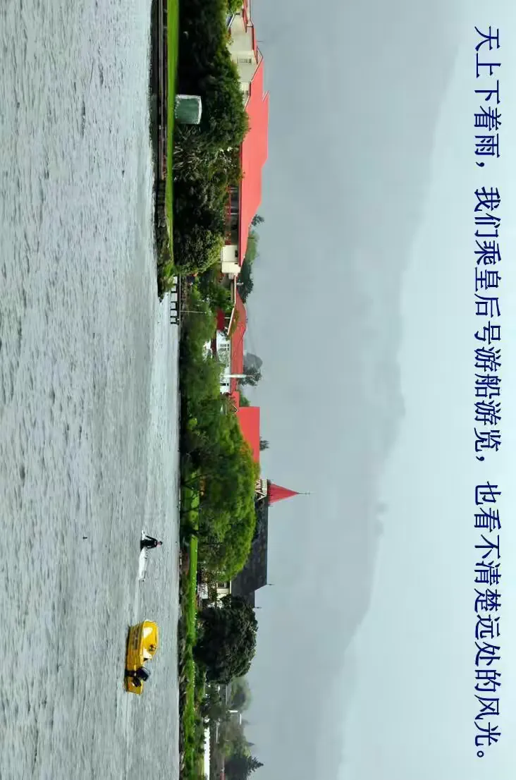 新西兰队大洋杯赛场浴血奋战，自强不息的简单介绍